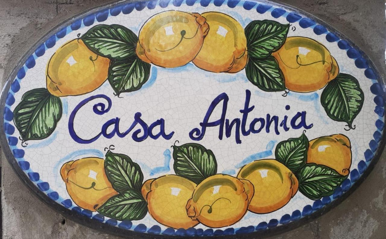 Casa Antonia Apartment Anacapri  Bagian luar foto